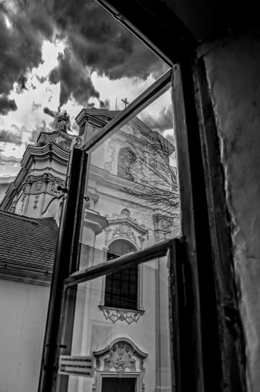 Penzion U Borovicku Litoměřice Eksteriør bilde